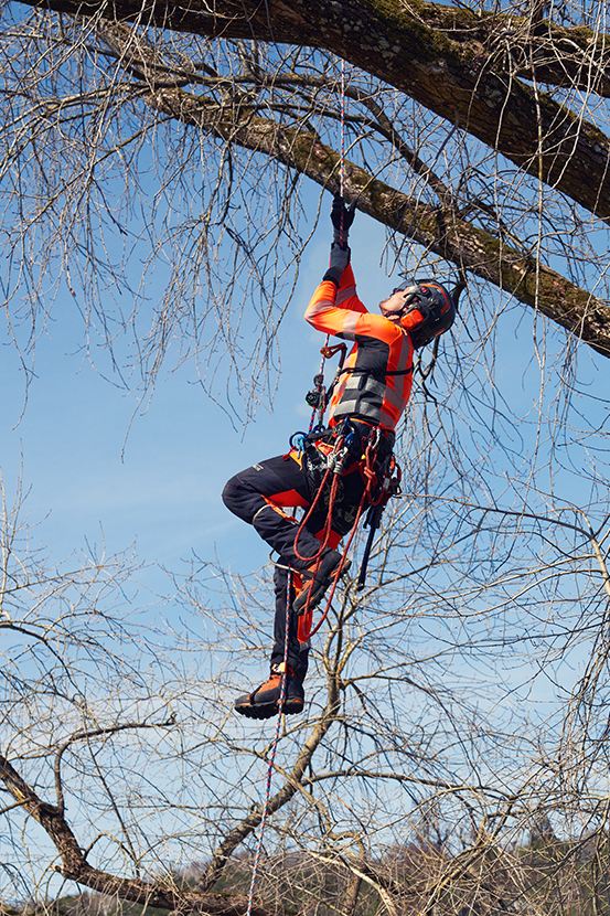 Attrezzatura da arrampicata